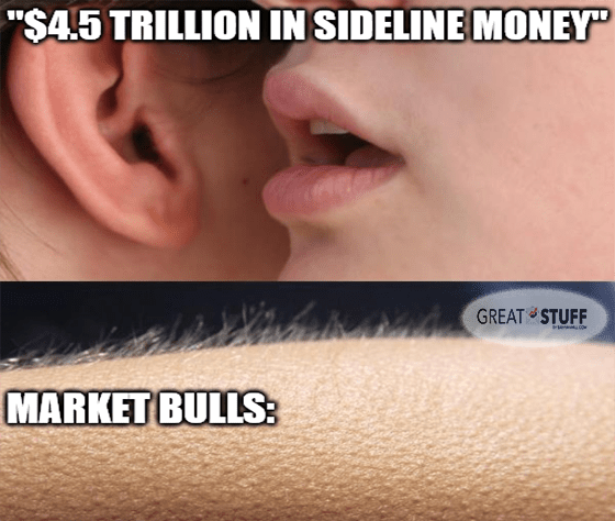 $4.5 trillion in sideline money bullish goosebumps meme big
