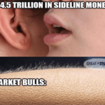 $4.5 trillion in sideline money bullish goosebumps meme small