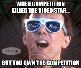 Competition killed the video star but you own the competition NFLX meme small