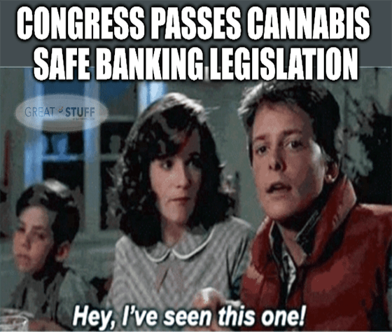 Congress passes cannabis safe banking already seen meme big