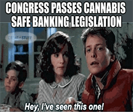 Congress passes cannabis safe banking already seen meme small