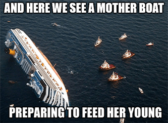 mother boat preparing to feed her young NCLH meme