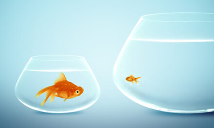 The Single Most Important Number in Investing