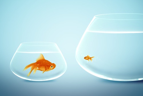 The Single Most Important Number in Investing