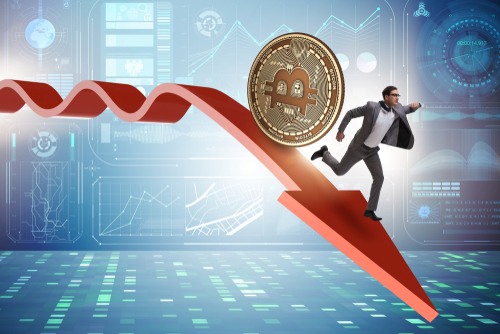 bitcoin economic value 2021