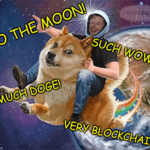 Doge to the moon wow much Musk meme small