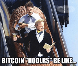 Bitcoin hodlers be like meme small