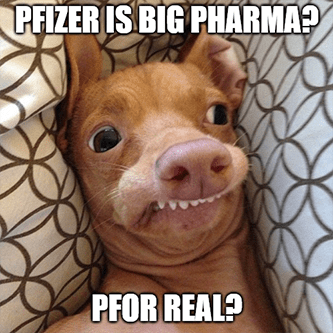 Pfizer is big pharma pfor real meme