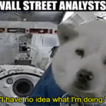 Wall Street analysts dog in space no idea what I'm doing meme small