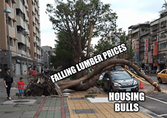 Falling lumber prices tree housing bulls car meme