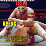 Tesla vs XPeng kindest rumble on Earth wrestlers meme small
