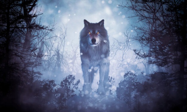 Busting the Great Inflation Myth