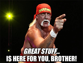 Hogan Great Stuff is here for you brother meme