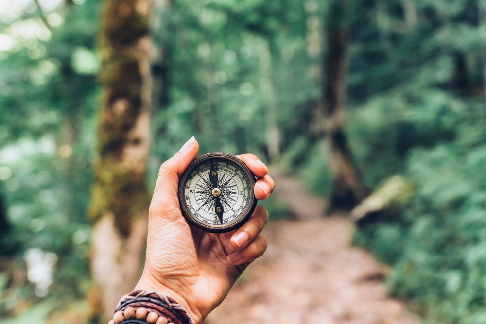 fed tapering "what if" survival guide