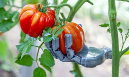 agricultural robotics