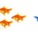 profit from Market Paradigm