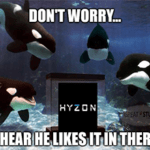 Hyzon Killer Whale He Likes It Meme Small