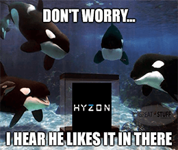 Hyzon Killer Whale He Likes It Meme Small