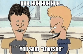 Beavis Butthead you said Lovesac meme