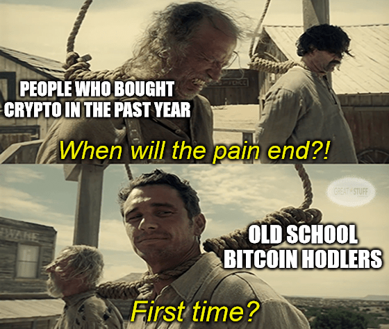 Bitcoin hodlers vs new crypto investors first time meme