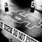 The Fed Kills Momentum Trade