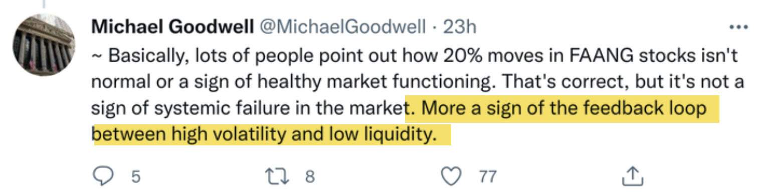Michael Goodwell feedback loop between high liquidity and low volatility