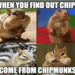 Nvidia chip stock - Find out chips come from chipmunks main meme