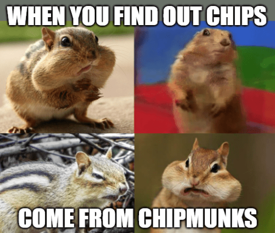 Nvidia chip stock - Find out chips come from chipmunks main meme