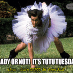 Tutu Tuesday Jim Carey Meme
