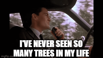 Dale Cooper So Many Trees Cannabis GIF