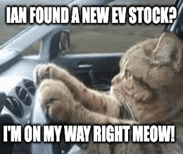 New EV stock OMW right meow gif