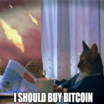 I Should Buy Bitcoin Newspaper Cat World on Fire Meme