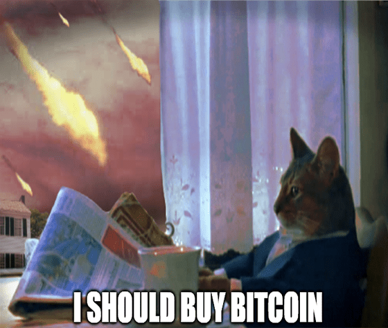 Buy Bitcoin Meme 
