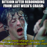 Bitcoin price rebounds after market crash