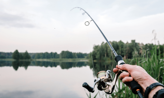 Never Worry About the Big One That Got Away