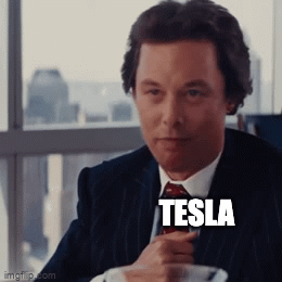 Elon Tesla Tesla stock rallies GIF