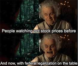 Pot Stock Prices Federal Legalization Meme