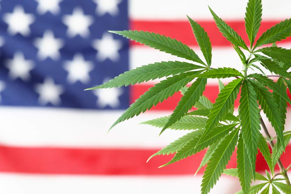 Cannabis Reform MORE act