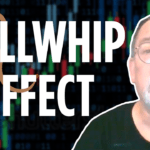 bullwhip effect in bear market