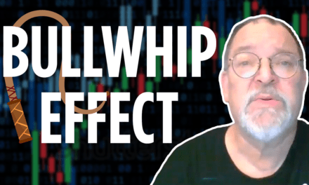 bullwhip effect in bear market