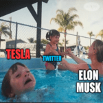 Elon Musk buys Twitter while Tesla drowns meme