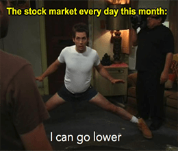 Stock Market Lower meme