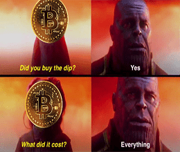 Did You Buy The Dip Meme