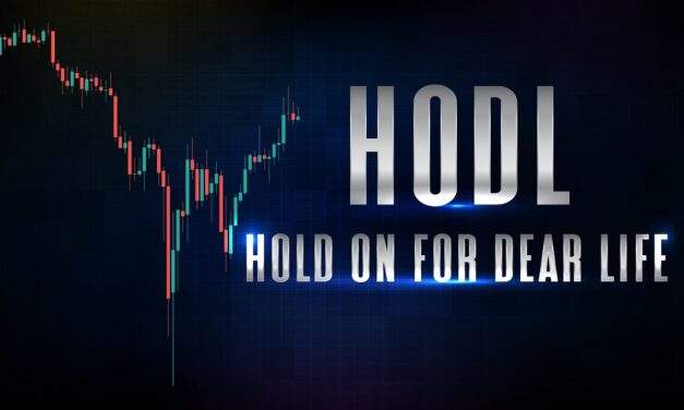 Hold on for Dear Life! Bitcoin Will Come Back