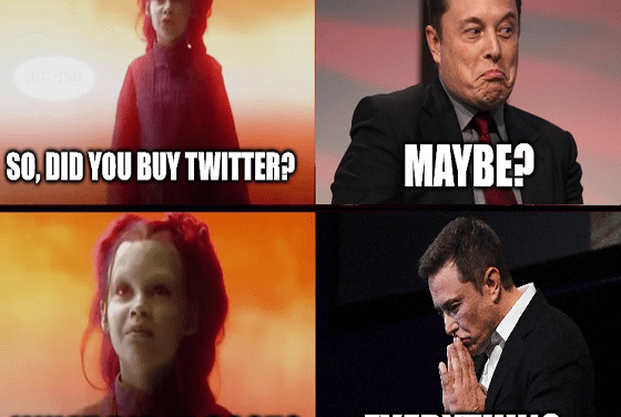 Elon Musk Musters Even More Buyer’s Remorse