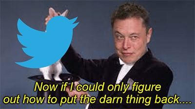 Elon Twitter hat put it back meme