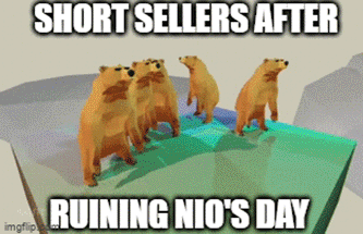 Bear Sellers After Ruining Nio's Day GIF