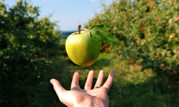 What to Do When the Easy Money Era Is Over