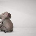 The $450 Billion Elephant in the Room