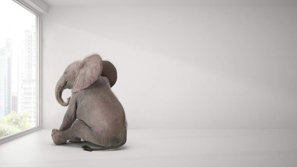 The $450 Billion Elephant in the Room